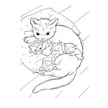 Coloriage Chaton blotti contre sa maman chat et ses frères et sœurs