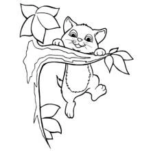 Coloriage Chaton suspendu à une tige de feuille