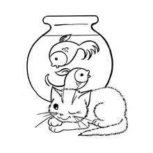 Coloriage Chaton observant des poissons rouges dans un aquarium