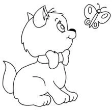 Coloriage Chaton observant un papillon