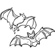 Coloriage Chauve-souris en duo volant ailes déployées