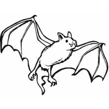 Coloriage Chauve-souris volant ailes déployées