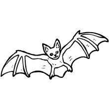 Coloriage Chauve-souris volant les ailes déployées