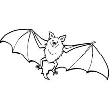 Chauve-souris - Coloriages gratuits à imprimer