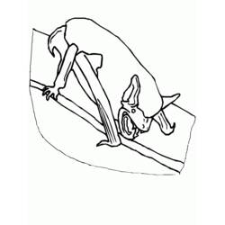 Coloriage Chauve-souris accrochée à une branche, ailes repliées