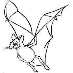 Coloriage Chauve-souris volant ailes déployées