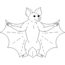 Coloriage Chauve-souris aux ailes déployées