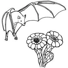 Coloriage Chauve-souris volant au-dessus de deux fleurs