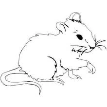 Coloriage Souris assise avec une patte levée