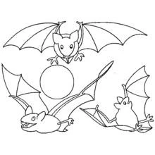 Coloriage Chauve-souris trio volant près de la lune
