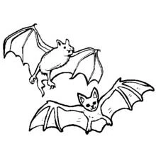 Coloriage Chauve-souris paire en plein vol