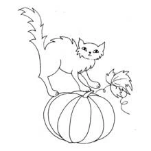 Coloriage Chat d'Halloween perché sur une citrouille