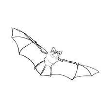 Coloriage Chauve-souris volant ailes déployées