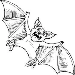 Coloriage Chauve-souris en colère