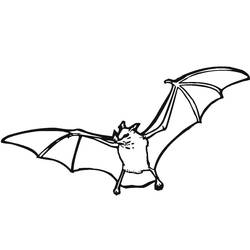Coloriage Chauve-souris volant les ailes déployées