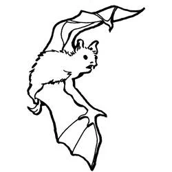 Coloriage Chauve-souris volante ailes déployées