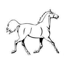 Coloriage Cheval au trot de profil