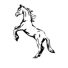 Coloriage Cheval cabré sur ses pattes arrière