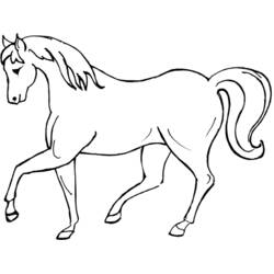 Coloriage Cheval en marche à la crinière ondulée