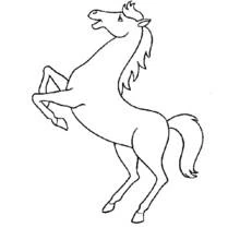 Coloriage Cheval cabré sur ses pattes arrière