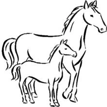 Coloriage Cheval debout avec son poulain