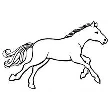 Coloriage Cheval au galop à la crinière flottante