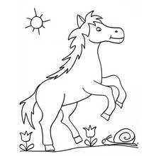 Coloriage Cheval cabré dans une prairie ensoleillée