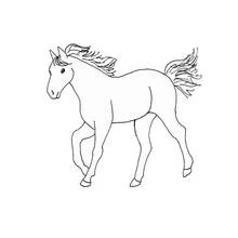 Coloriage Cheval trottant avec crinière au vent