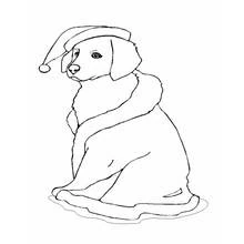 Coloriage Chien portant un bonnet de Noël