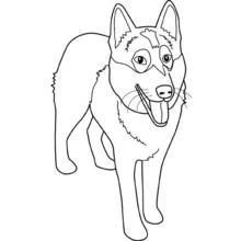 Coloriage Chien debout langue pendante
