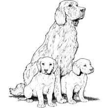 Coloriage Chien adulte assis avec deux chiots