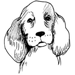 Coloriage Chien au visage avec longues oreilles pendantes
