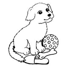 Coloriage Chien assis avec un ballon, un os et une chaussure
