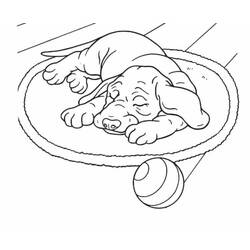 Coloriage Chien endormi sur un tapis rond