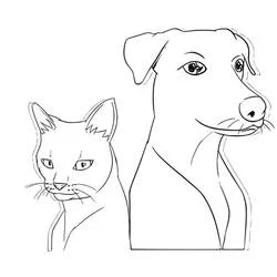 Coloriage Chien et Chat en portrait côte à côte