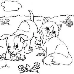 Coloriage Chien et Chat jouant dans la prairie