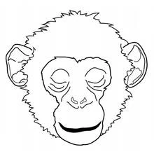 Coloriage Chimpanzé visage de face
