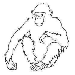 Coloriage Chimpanzé assis sur le sol