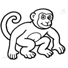 Coloriage Chimpanzé assis avec la queue enroulée