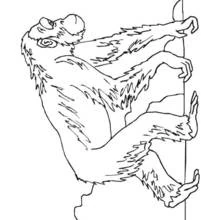 Coloriage Chimpanzé grimpant sur une branche