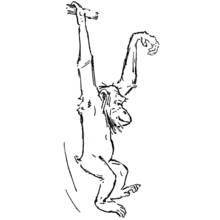 Coloriage Chimpanzé suspendu par un bras