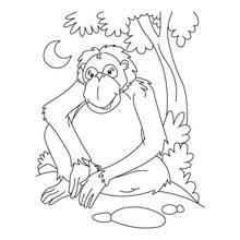 Coloriage Chimpanzé assis sous un arbre la nuit