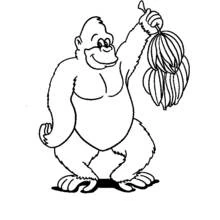 Coloriage Chimpanzé tenant un régime de bananes