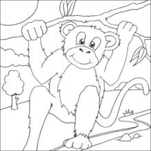 Coloriage Chimpanzé suspendu à une branche d'arbre