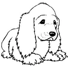 Coloriage Chiot couché aux longues oreilles
