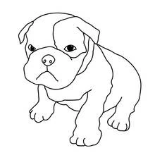 Coloriage Chiot boxer assis la tête penchée