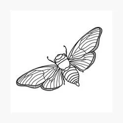 Coloriage Cigale volante avec ailes détaillées