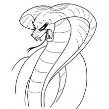 Coloriage Cobra au capuchon déployé montrant ses crocs