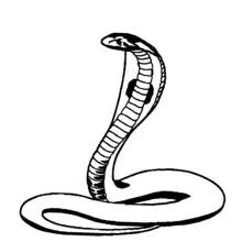 Coloriage Cobra dressé avec son capuchon déployé