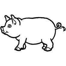 Cochon - Coloriages gratuits à imprimer